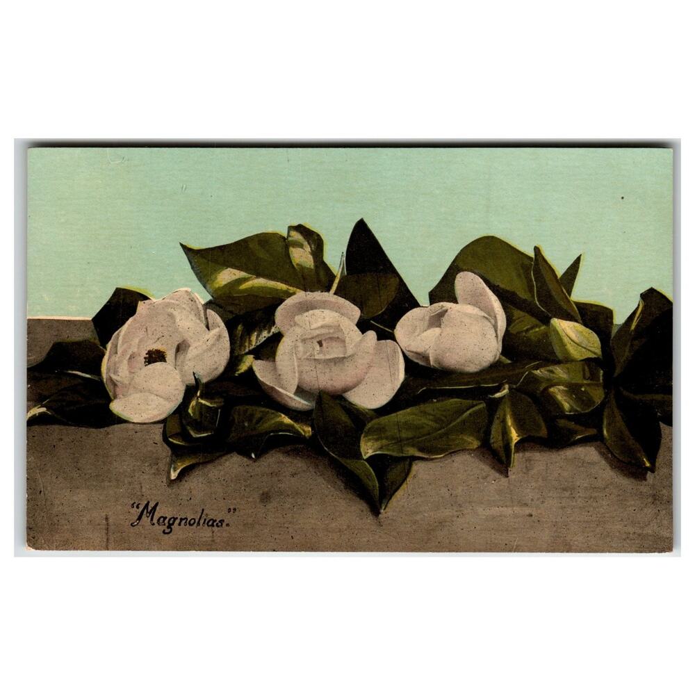 Vintage Florida Magnolias Floral Postcard - Cochrane's Palatka Souvenir